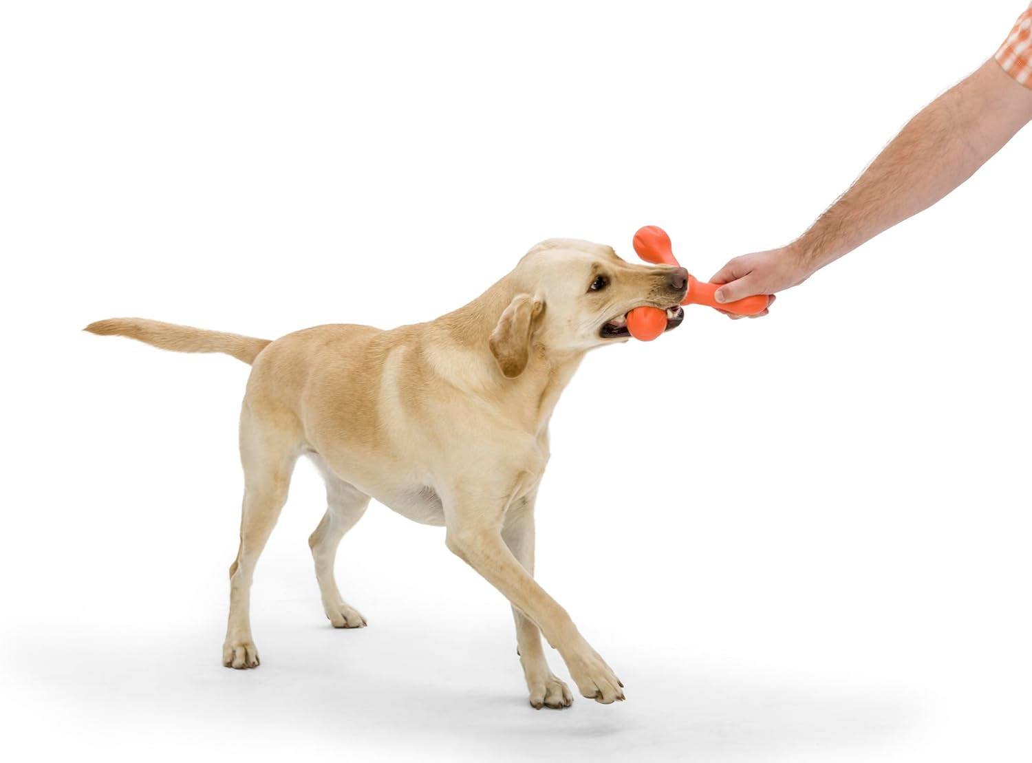 Zogoflex Air Skamp Tug-of-War Stick Dog Chew Toy - Interactive, Hollow, and Squishy Design for Chewing, Fetching, and Carrying - Dishwasher Safe, Latex-Free, Large 8.5", Melon