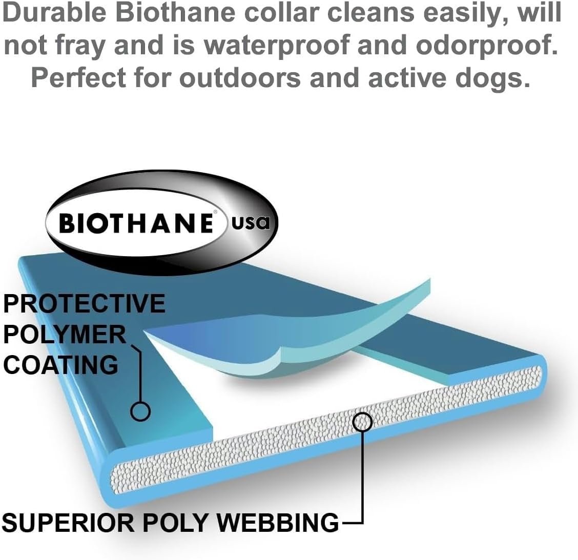 E-Collar Mini ET-300 Remote Dog Training Collar - 1/2 Mile Range, Waterproof, Rechargeable, 100 Levels of Stimulation, Vibration, Tone, and Light for Small to Medium Dogs