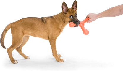 Zogoflex Air Skamp Tug-of-War Stick Dog Chew Toy - Interactive, Hollow, and Squishy Design for Chewing, Fetching, and Carrying - Dishwasher Safe, Latex-Free, Large 8.5", Melon