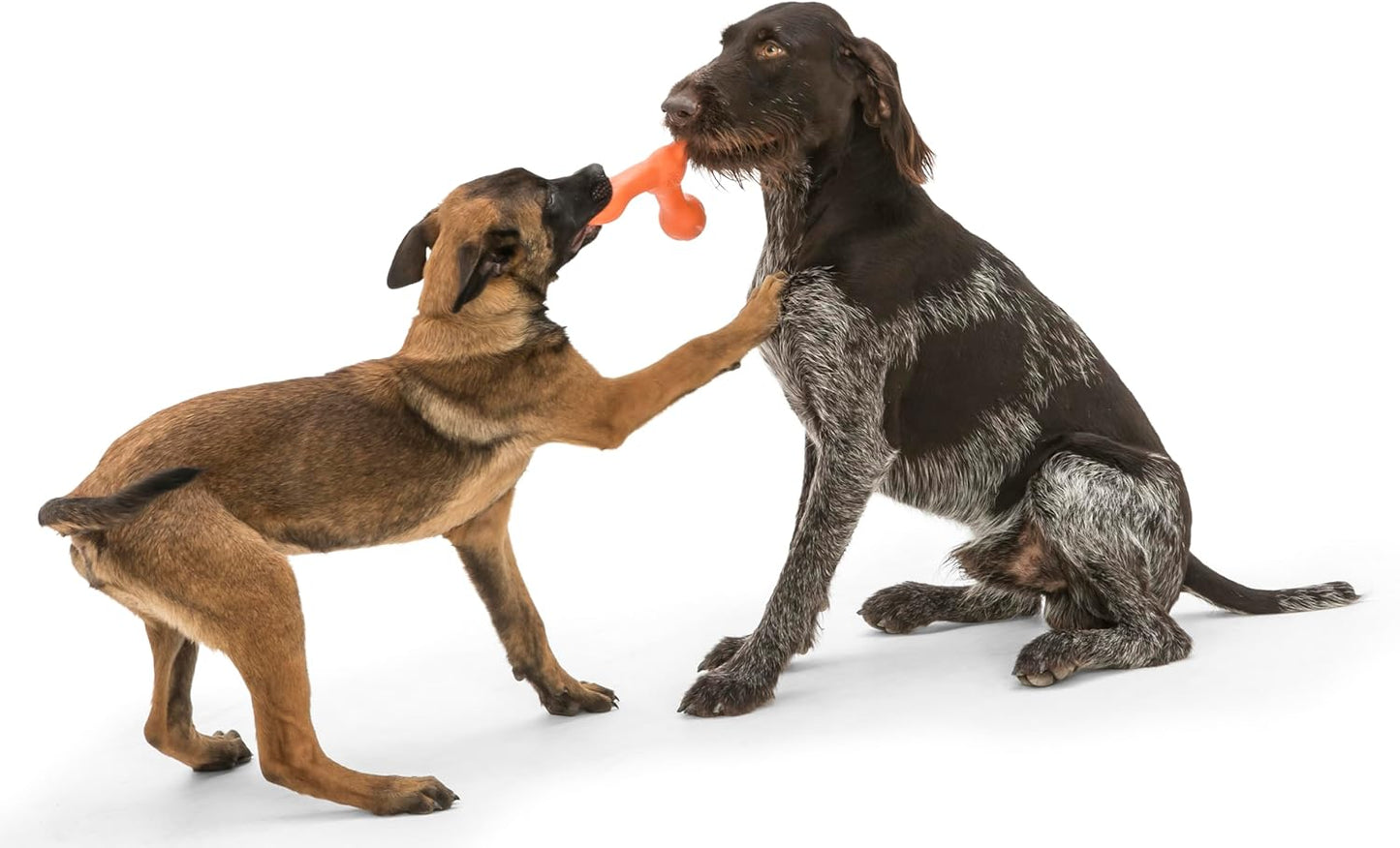 Zogoflex Air Skamp Tug-of-War Stick Dog Chew Toy - Interactive, Hollow, and Squishy Design for Chewing, Fetching, and Carrying - Dishwasher Safe, Latex-Free, Large 8.5", Melon