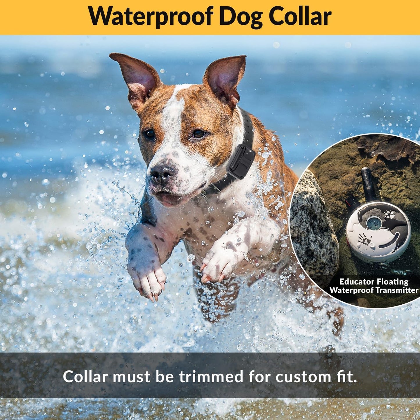 E-Collar Mini ET-300 Remote Dog Training Collar - 1/2 Mile Range, Waterproof, Rechargeable, 100 Levels of Stimulation, Vibration, Tone, and Light for Small to Medium Dogs